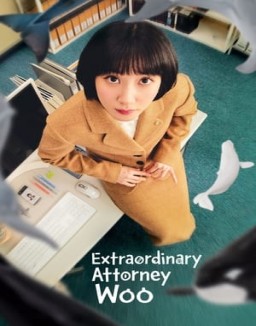 Extraordinary Attorney Woo online