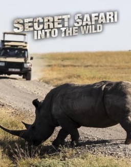 Secret Safari: Into the Wild online Free