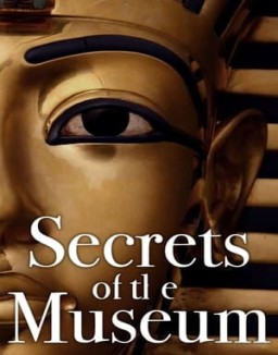 Secrets of the Museum online For free Secrets of the Museum online For free